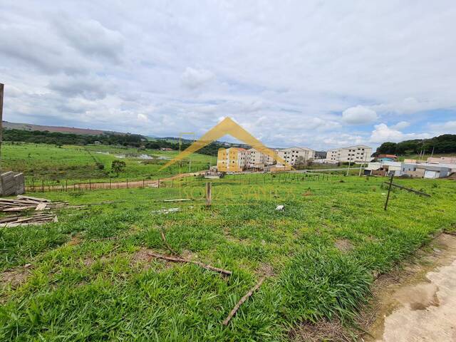 #323 - Terreno para Venda em Pouso Alegre - MG - 2