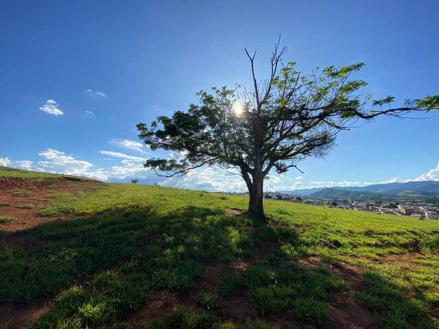 #745 - Área para Venda em Congonhal - MG - 2