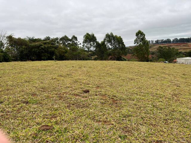 #920 - Área para Venda em Congonhal - MG - 1