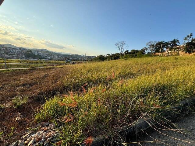 #1197 - Área para Venda em Pouso Alegre - MG