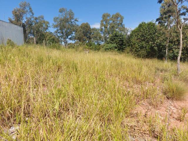 #1291 - Terreno para Venda em Pouso Alegre - MG - 2